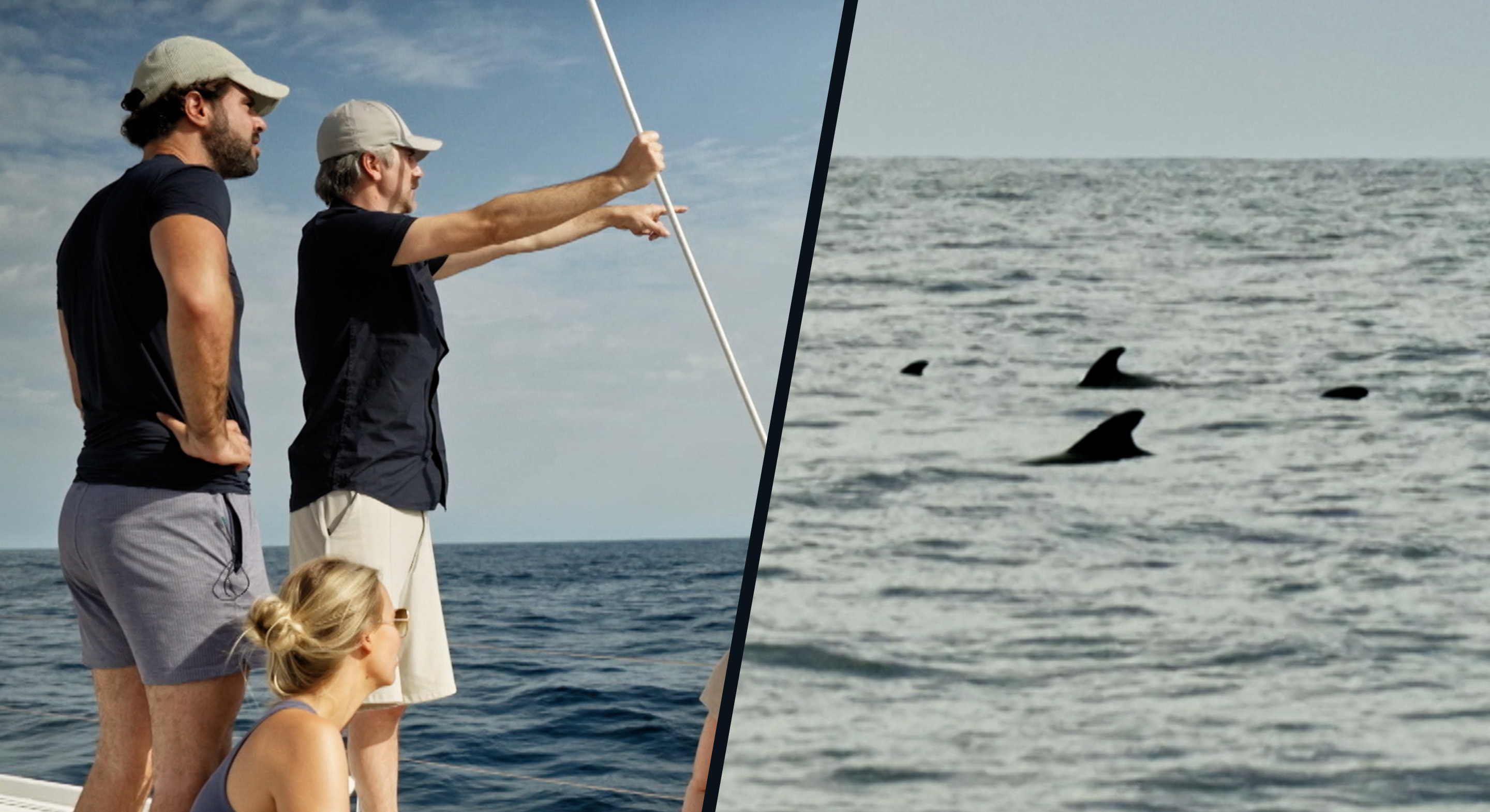 Tientallen walvissen zwemmen rond de Over De Oceaan- boot: "Zoiets heb ik nog nooit gezien"